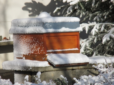Blindentext Bienen im Winter