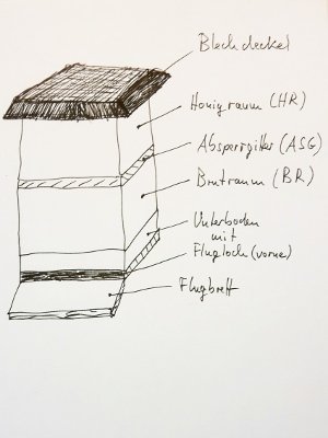 Blindentext Brut- und Honigraum