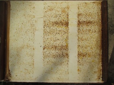 Blindentext Varroamilben